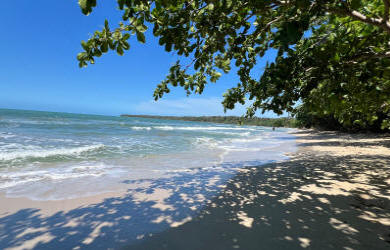 Beach Forest and Wildlife Exploration Tour with scenic ocean views - Macaws Tours by Pablo C