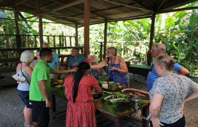 Cultural immersion experience with local Costa Rican villages, artisan crafts, and traditional cuisine - Macaws Tours by Pablo C