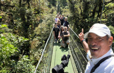 Monteverde Cloud Forest hanging bridges with misty treetops, vegetation, and wildlife viewing - Macaws Tours by Pablo C