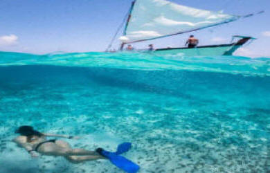 Colorful tropical fish and coral reef snorkeling in Costa Rica's Pacific crystal clear waters - Macaws Tours by Pablo C
