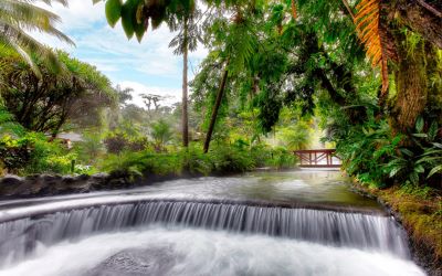 Guests relaxing in natural thermal hot springs with Arenal Volcano view and tropical garden setting - Macaws Adventure Tours by Pablo C