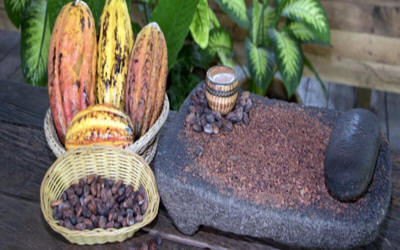 Chocolate making demonstration and tasting experience at Costa Rican cacao farm with fresh beans - Macaws Adventure Tours by Pablo C