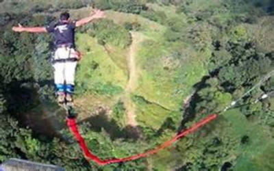 Adventurer bungee jumping from tropical bridge over lush Costa Rican rainforest canopy - Macaws Adventure Tours by Pablo C