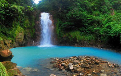 Guided nature hike through Costa Rican rainforest with waterfall views and exotic wildlife spotting - Macaws Adventure Tours by Pablo C
