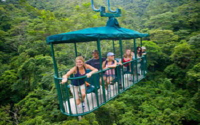 'Rainforest aerial tram gondola gliding through Costa Rican jungle canopy with tropical birds and monkeys visible - Macaws Tours by Pablo C',