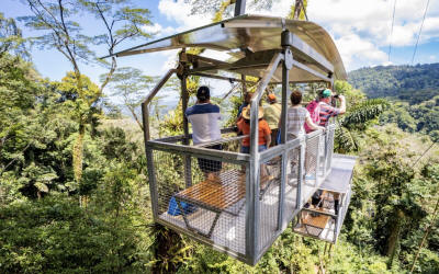 'rainforest gondola gliding above lush caribbean canopy with views of monkeys, sloths, tropical birds, and distant waterfall - Macaws Tours by Pablo C',