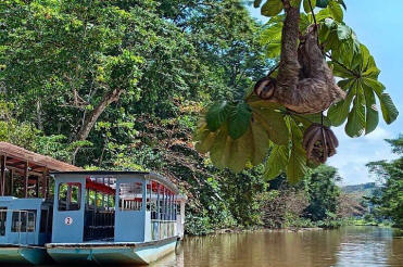 Botanical garden exploration and Tortuguero Canal boat tour - Macaws Tours by Pablo C',