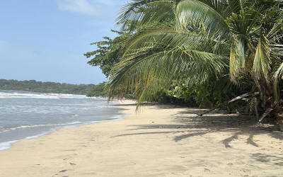 'Afro-Caribbean culture experience with beach relaxation and music in Limon Costa Rica - Macaws Tours by Pablo C',