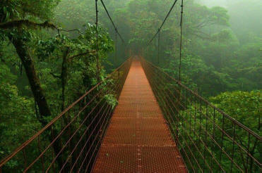 'Monteverde Cloud Forest skywalk with butterfly garden and sloth sanctuary wildlife experience - Macaws Tours by Pablo C',