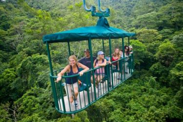 Aerial tram through rainforest canopy and Jaco city tour with beach views - Macaws Tours by Pablo C',